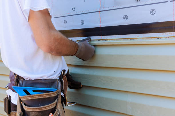 Affordable Vinyl Siding solutions in Apex, NC
